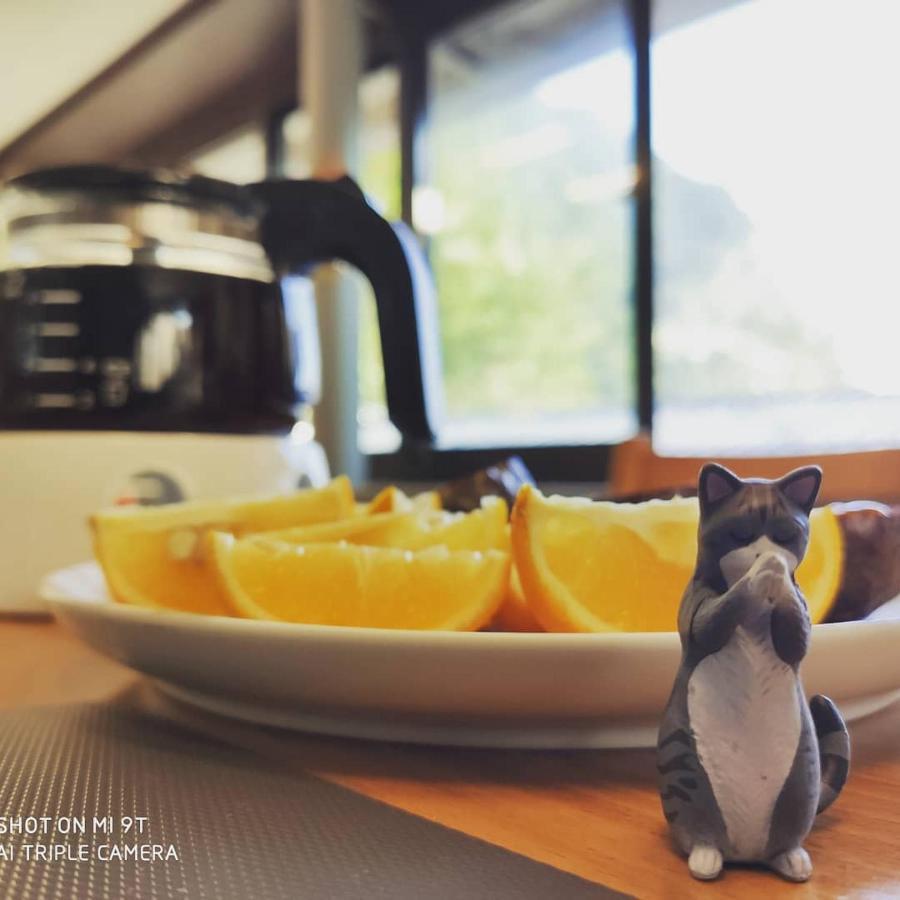Taipei Jinguashi Cloud Mountain Homestay B&B Cửu Phần Ngoại thất bức ảnh